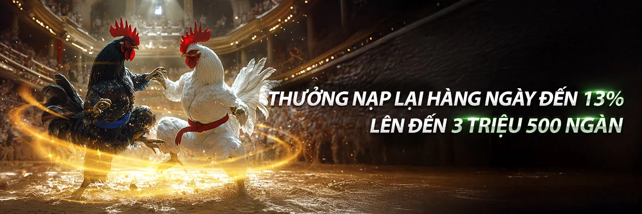 Đá Gà xs66 Nổ Hũ - Trận Đấu Kịch Tính